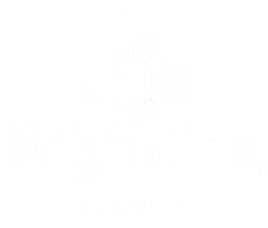 nightline france