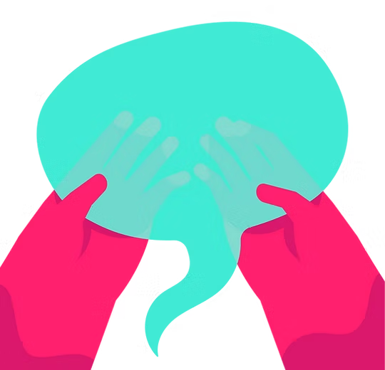 miniature reussir transaprent